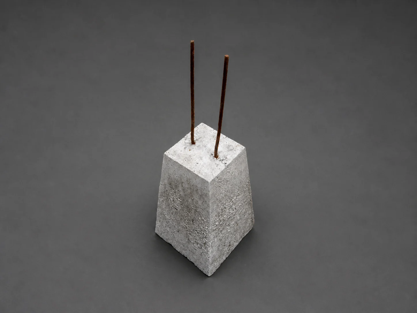 Poyo 0,20 — dos fierros